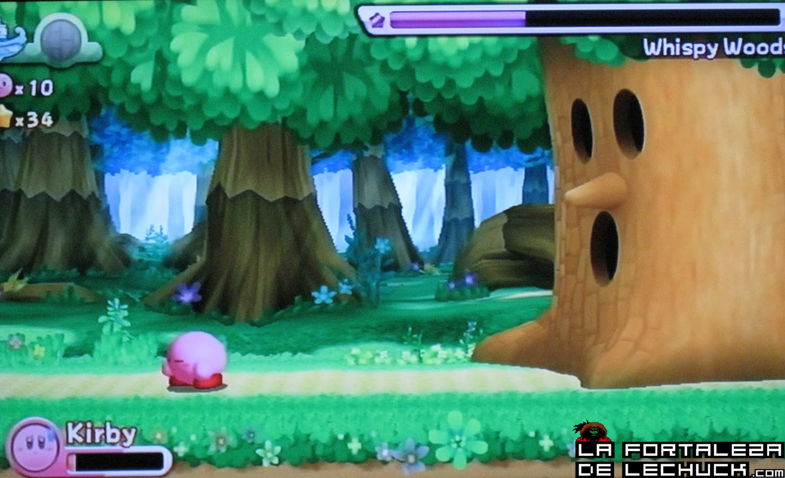 Análisis Kirby's Return to Dreamland Wii – My CMS