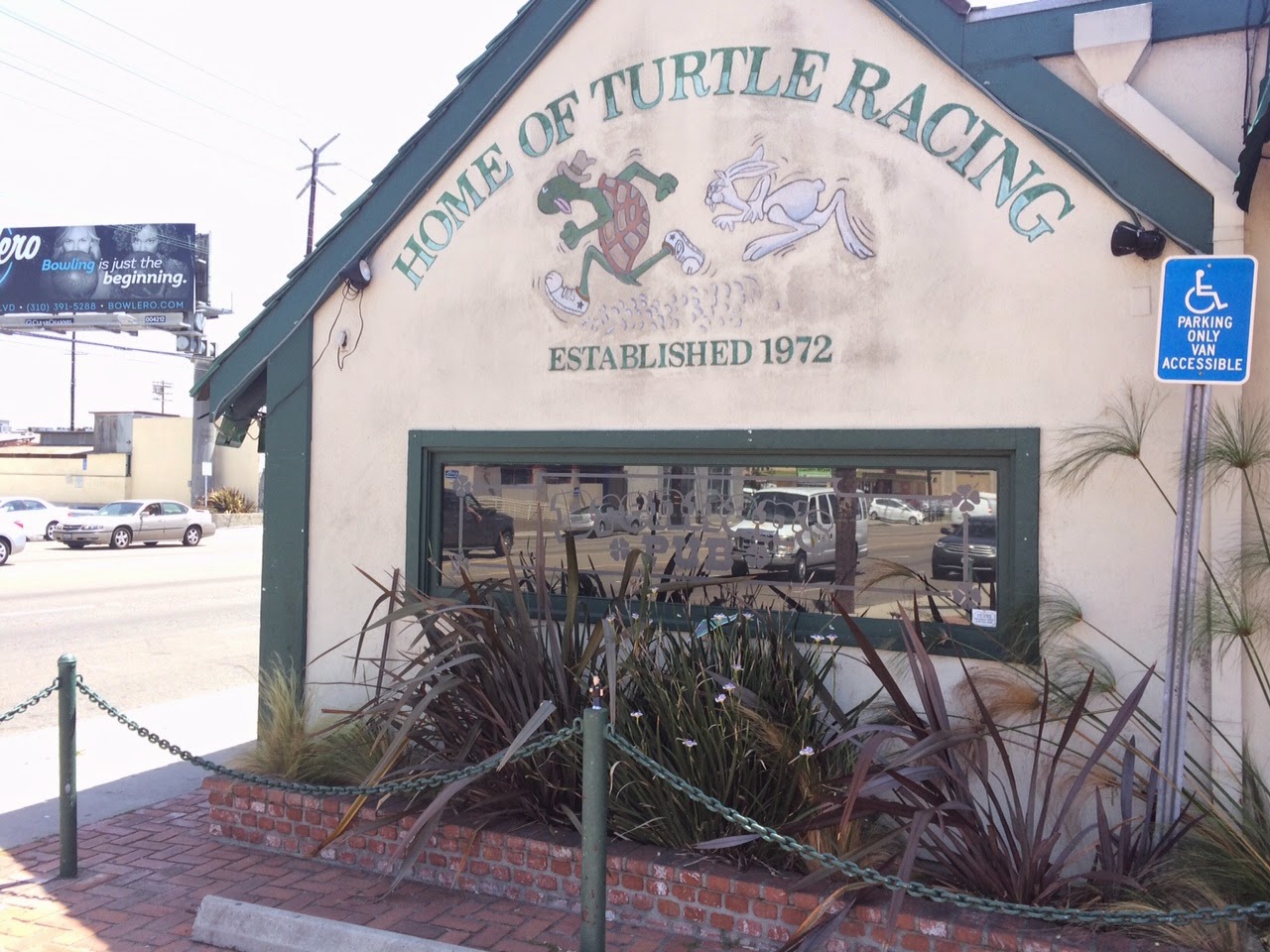Let's Find Chuck .com: Chuck At Brennan's Turtle Racing Bar, Marina Del ...