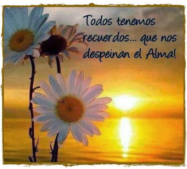 Imagen de consulta de la búsqueda visual