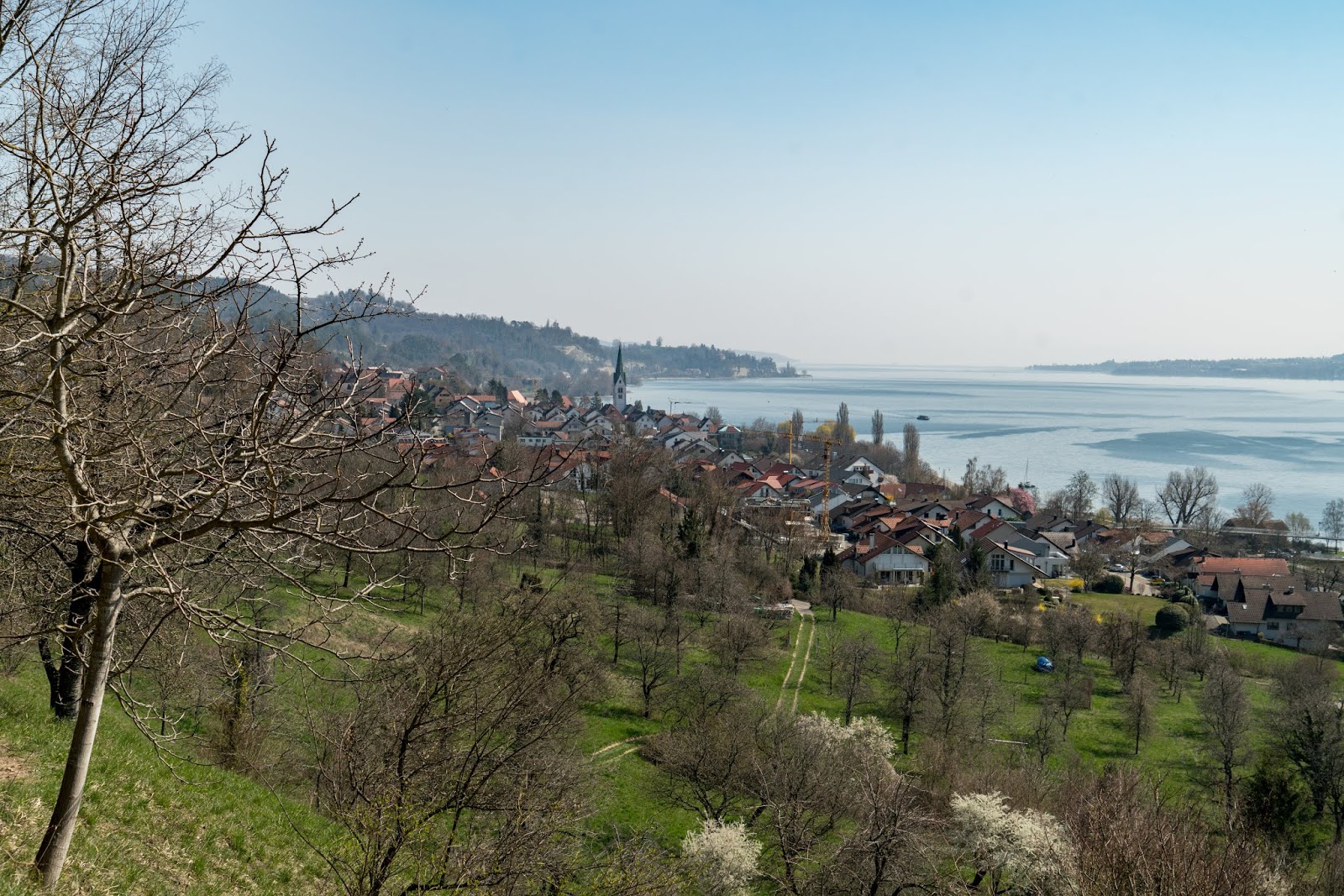 Seegang Etappe 3 Von Bodman Durchs Aachried Nach Ludwigshafen
