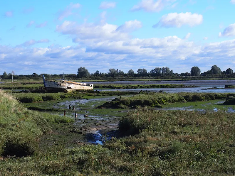 Salt marsh 