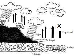3000 Gambar Daur Air Untuk Soal Gratis Gambar Id