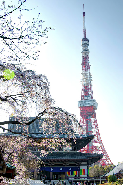 Día 3 - Palacio Imperial - Tokyo Tower - Harajuku - Japón primavera 2016 - 18 días (con bajo presupuesto) (5)