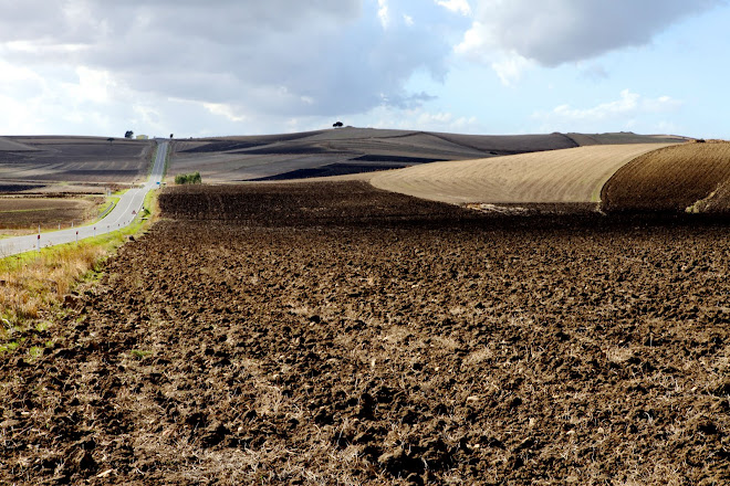 CAMPAGNA