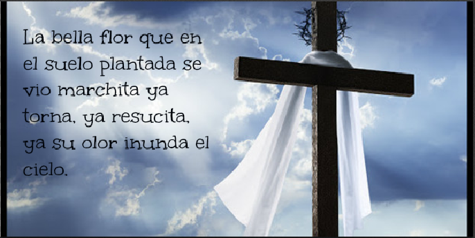Dia A Dia Cristo Vive dia a dia cristo vive