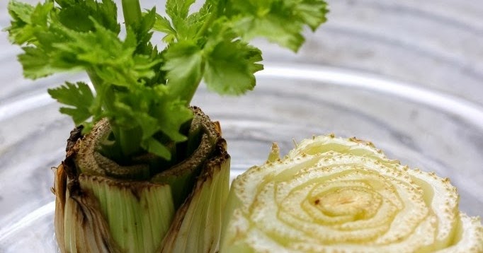Regrow celery from the stalk