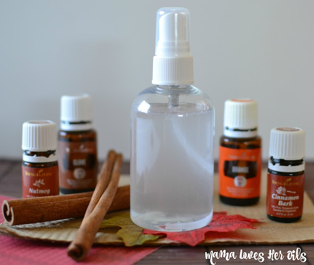 The perfect fall and winter air freshener spray that's infused with essential oils! Fall Essential Oil Air Freshener Spray Recipe from Hot Eats and Cool Reads