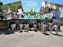 DÍA DE LOS CABALLOS 2019