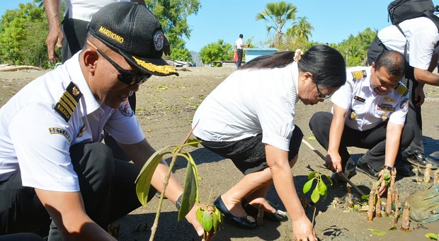 Bakamla Tanam Mangrove di Perbatasan Indonesia-Timor Leste