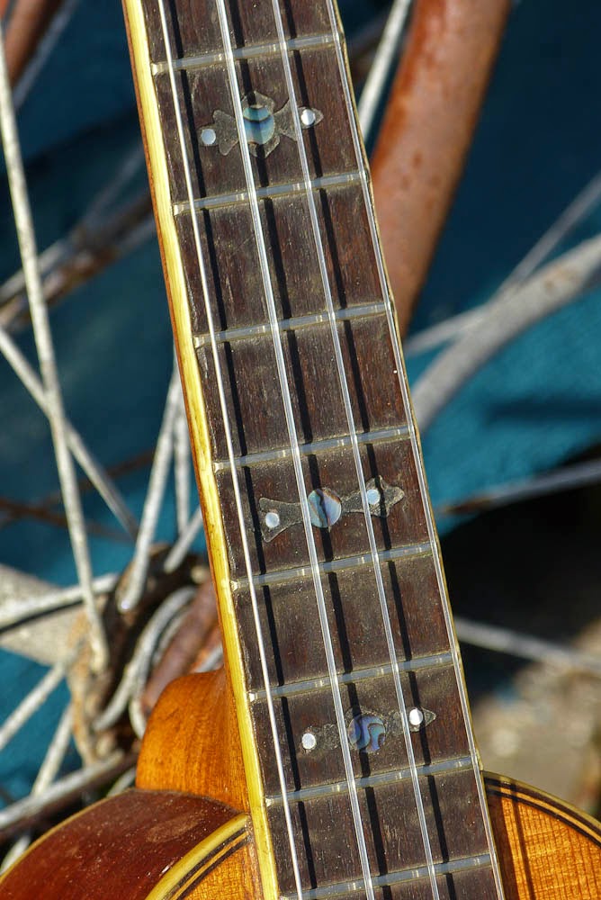 c.1925 Washburn Style 5265 Tenor Guitar/Baritone Uke Conversion