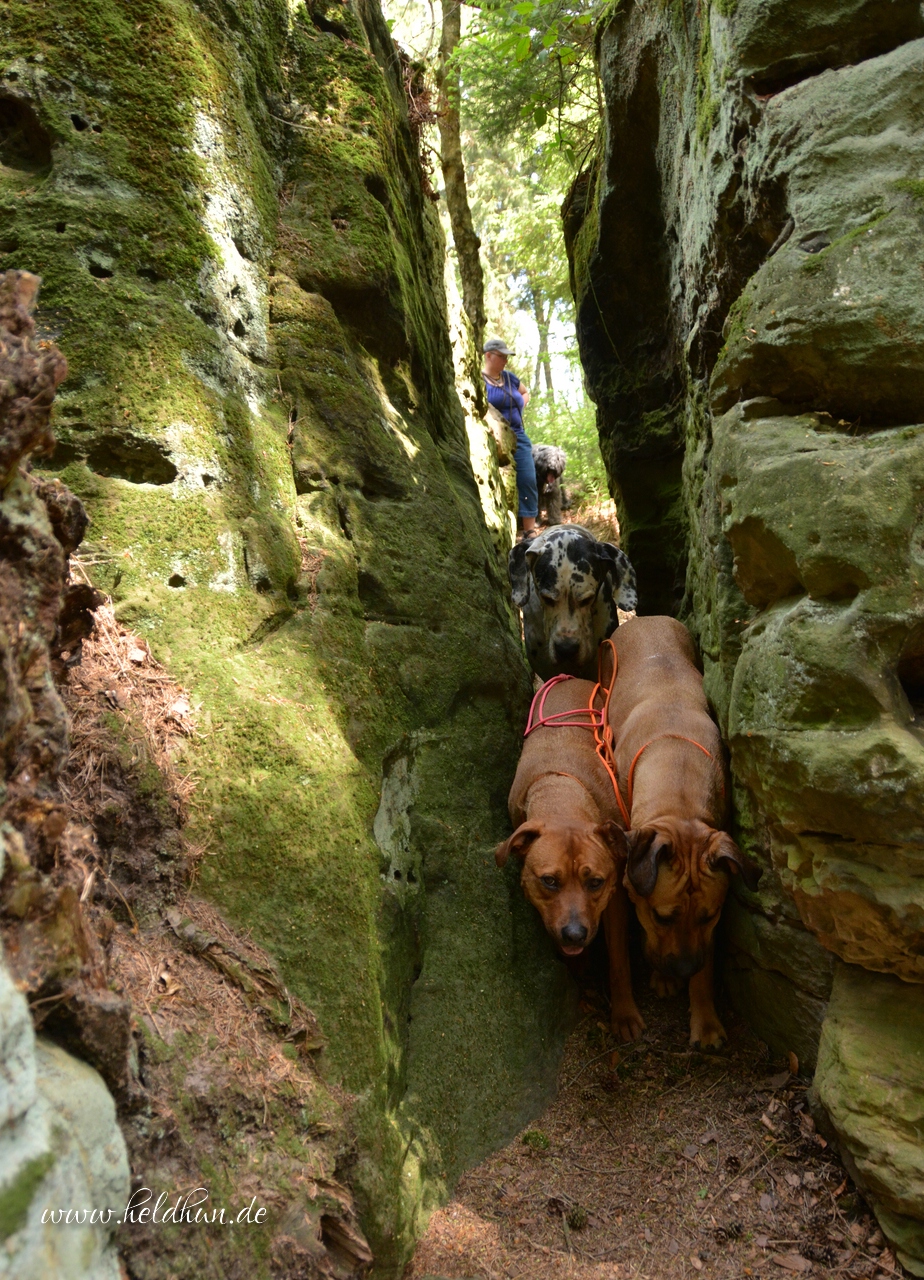 Heldhunde!: Bodensteiner Klippen Heldhunde!: Bodensteiner Klippen