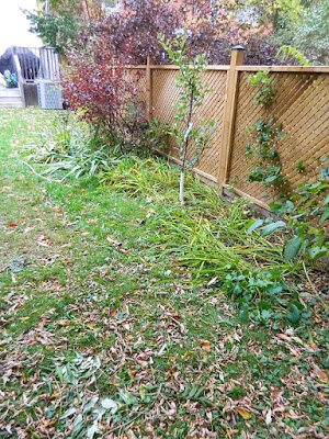 Yonge and Lawrence Backyard Toronto Fall Cleanup before by Paul Jung Gardening Services--a Toronto Organic Gardening Company Yonge and Lawrence Backyard Toronto Fall Cleanup before by Paul Jung Gardening Services--a Toronto Organic Gardening Company