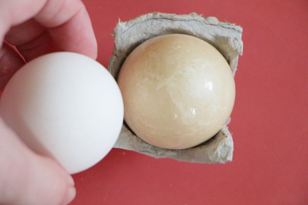 Comparison of normal egg and discolored agg