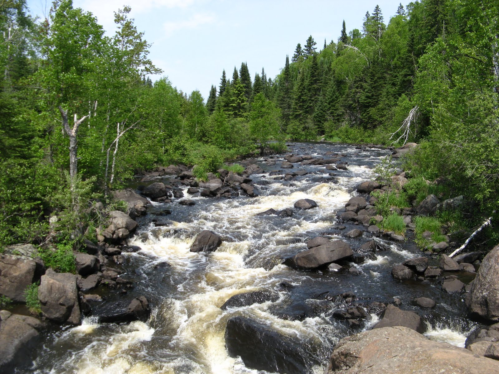 Corvusatlarge My Kind of Minnesota Trout Stream (Part 2)