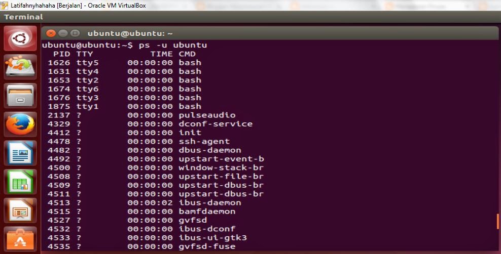 продемонстрировать работу сервера в tinycp в линукс. процессы в linux.