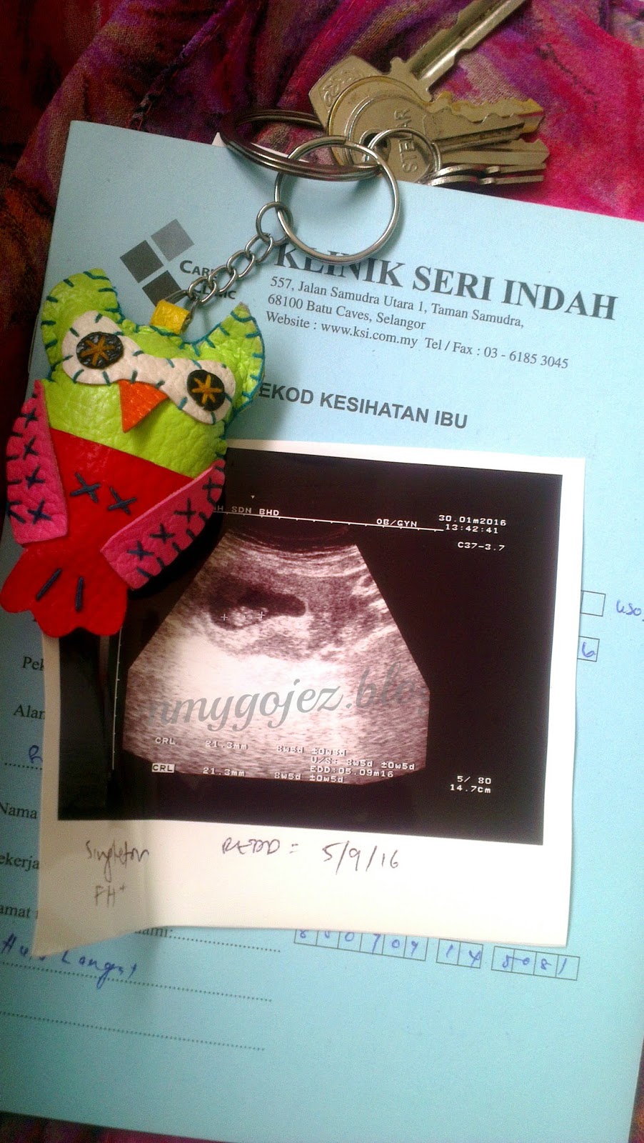 I Am A Mother Of Two Review Pregnancy Check Up Di Klinik Seri Indah