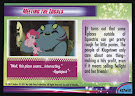 My Little Pony Meeting the Locals MLP the Movie Trading Card