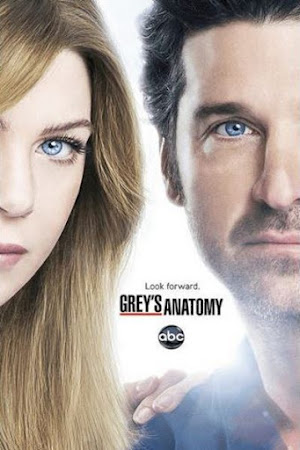 Grey's Anatomy Season 09 (2012)