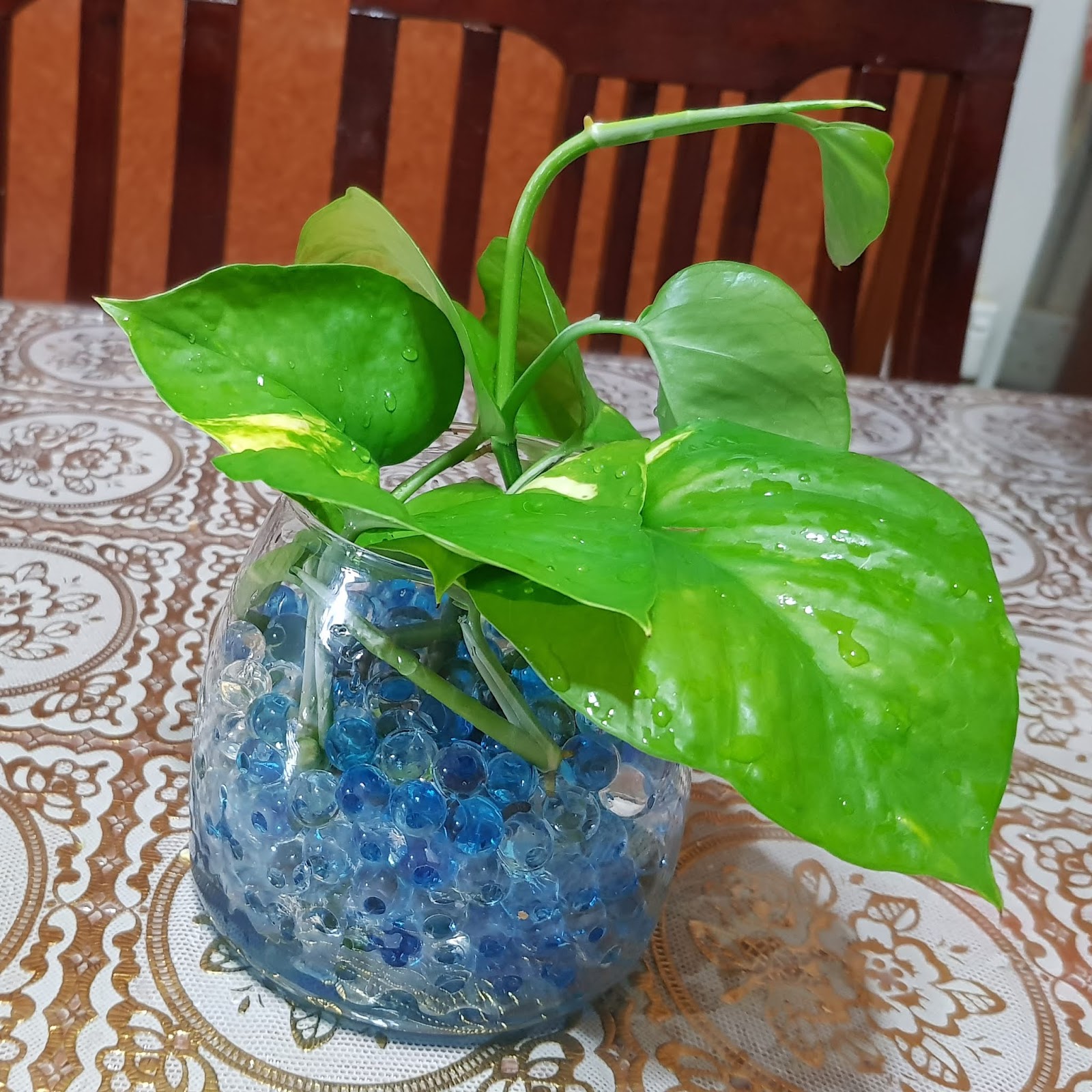 Kepentingan Kehijauan