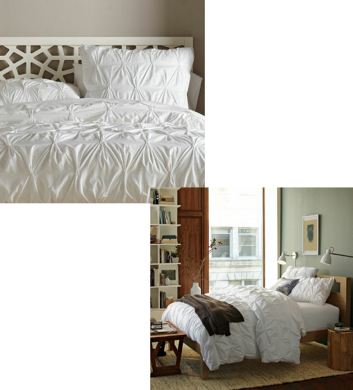 Three Nuts in a Shell Knockoff bedding