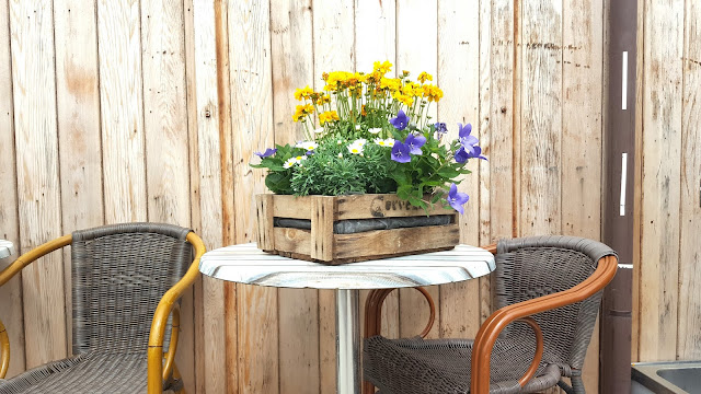 Ausfluge Rund Ums Freihausviertel An Der Nordseekuste