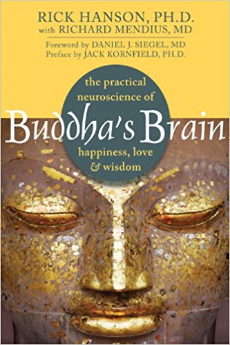 <b>Buddha's Brain</b>