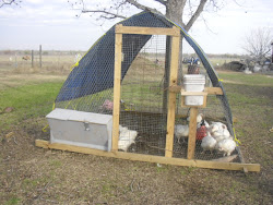 Frugalcountrymom: New improved mobile chicken coop