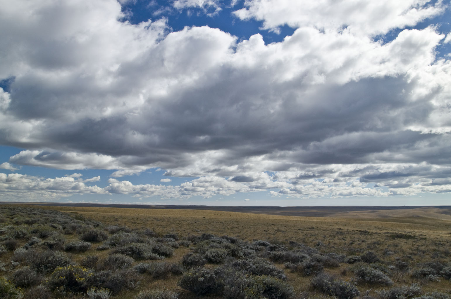 viajes y fotos El Estrecho de Magallanes, 1ª parte