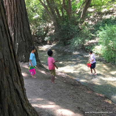 children playing in creek at Shoup Park in Los Altos, California