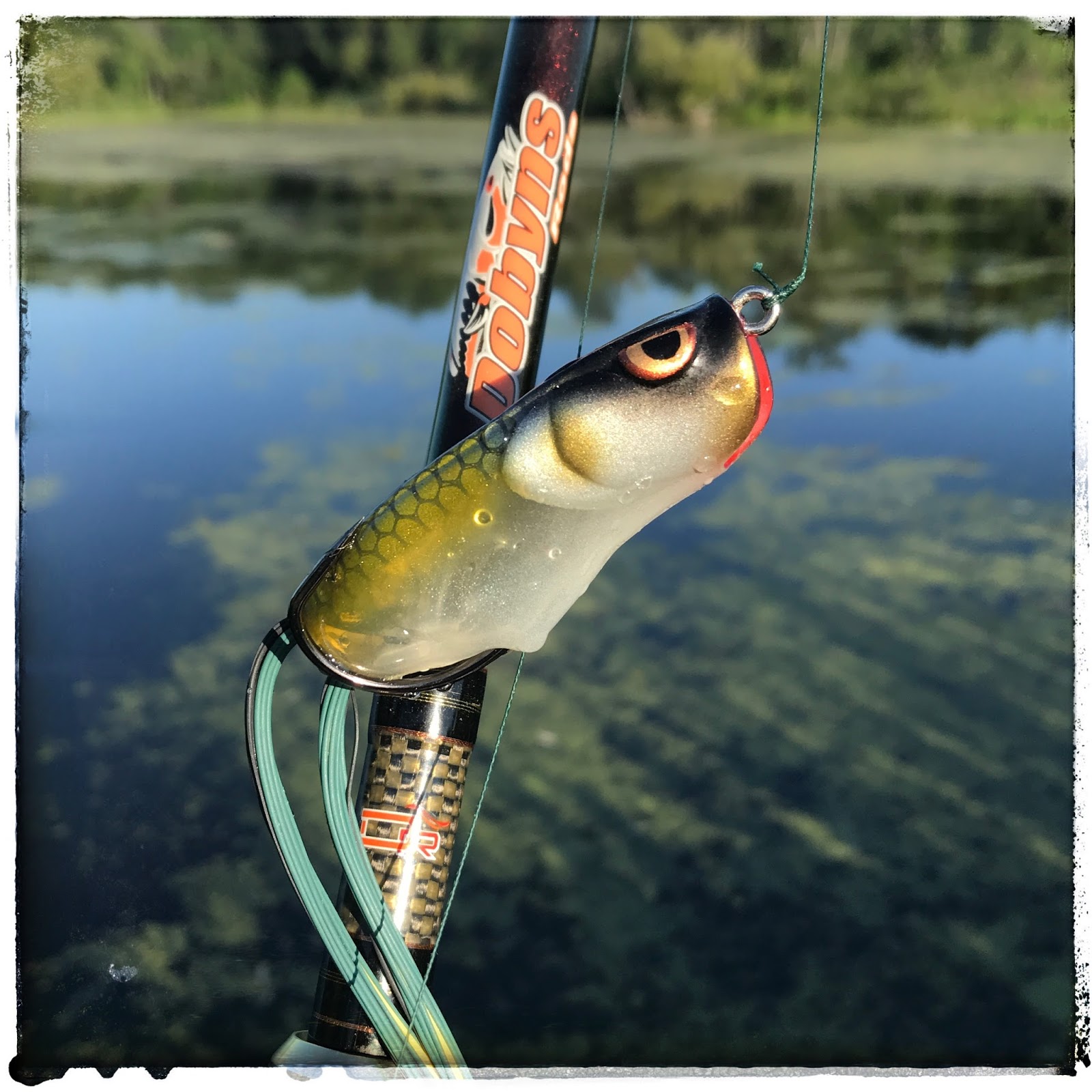 Bass Junkies Frog Pond Spro Dean Rojas Bronzeye Spit Shad Review