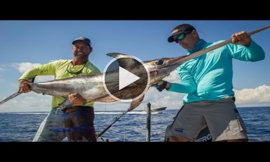 How To Catch Marlin Great Reel