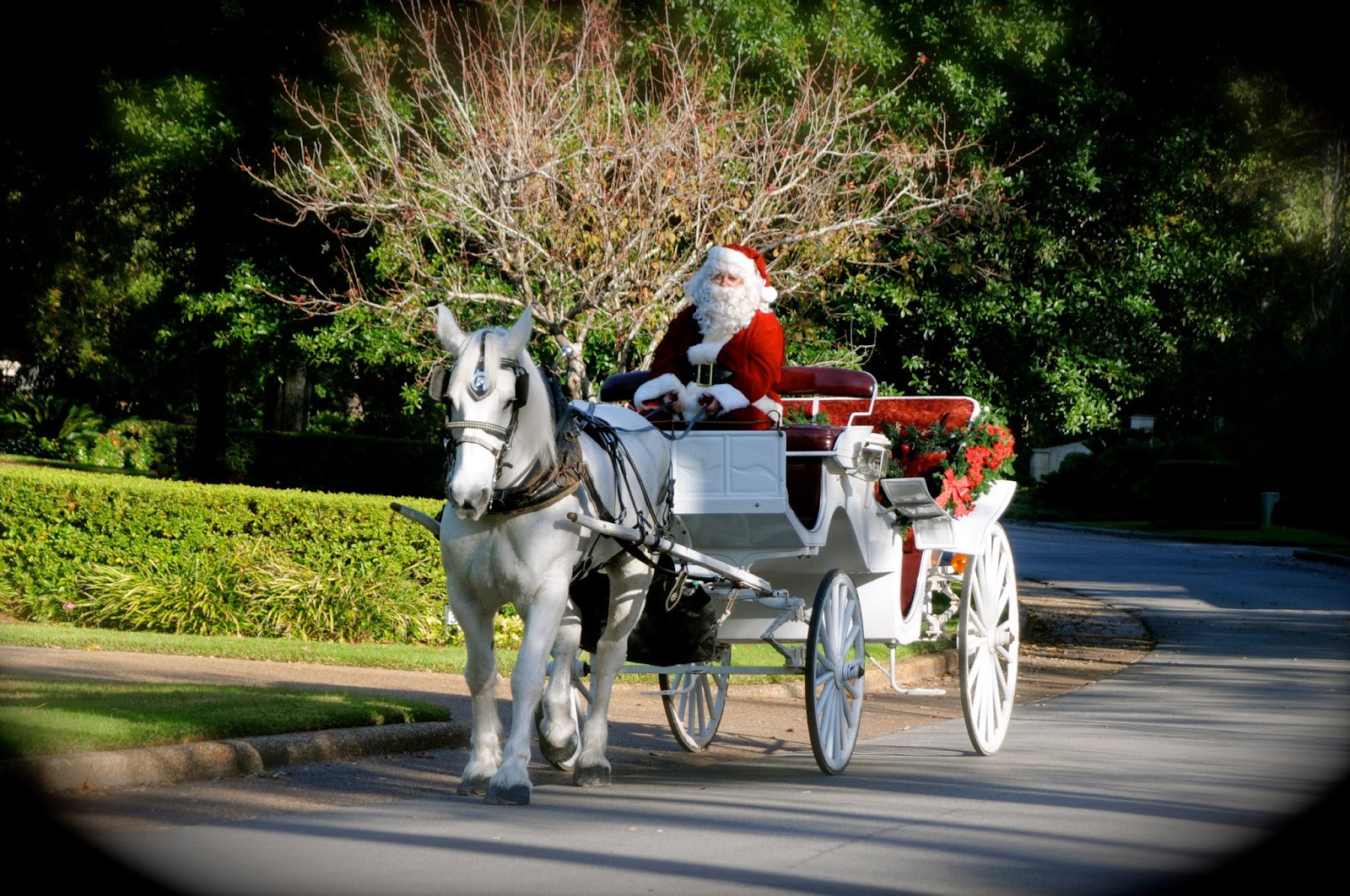 Classic Carriage Company River Oaks Houston Rides