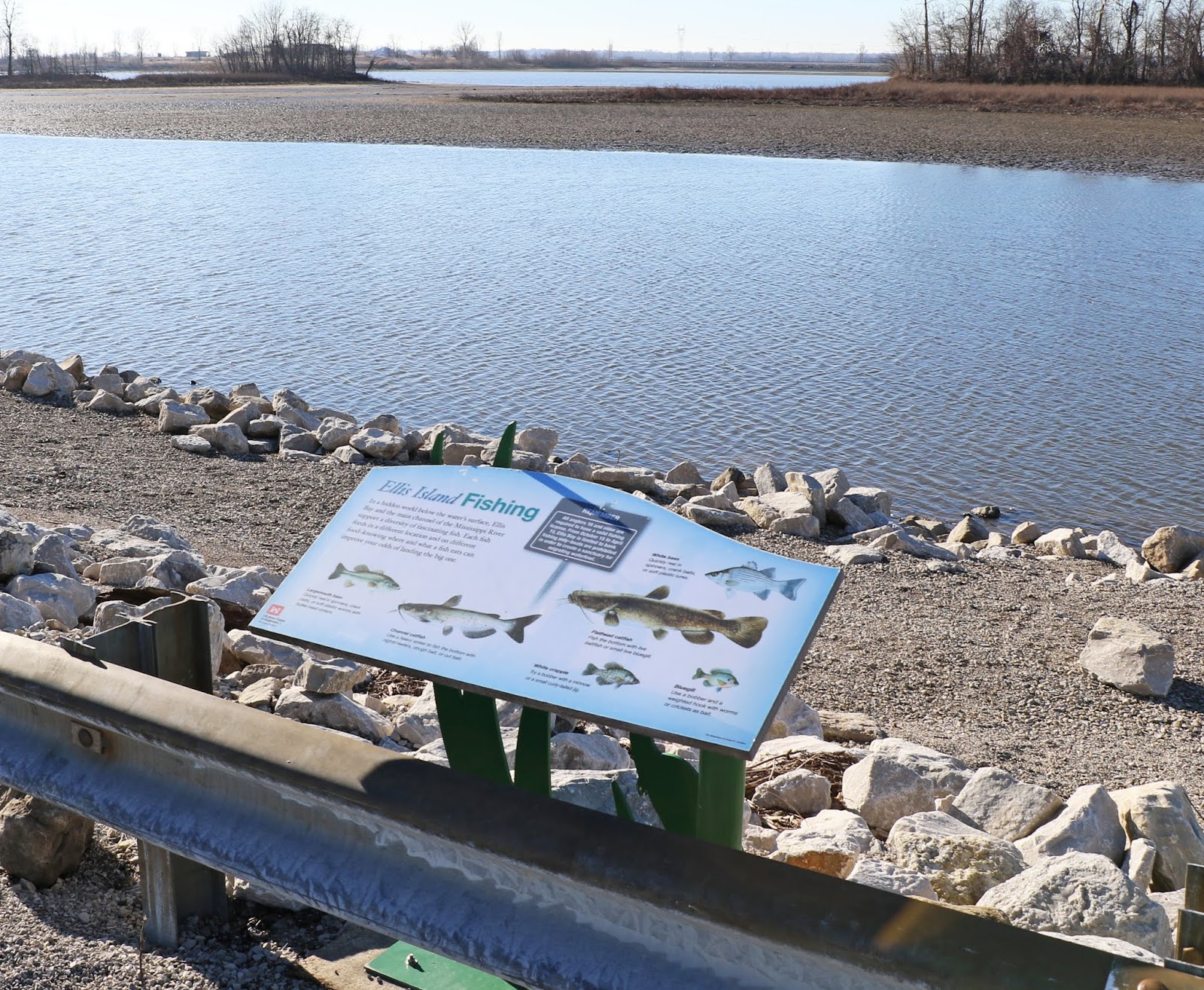 Out and About the Midwest Audubon Center at Riverlands, West Alton, MO