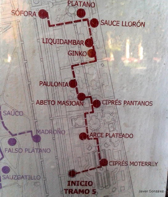 Parque del Retiro de Madrid. Itinerario 5.Jardines de Cecilio Rodríguez y Herrero Palacio