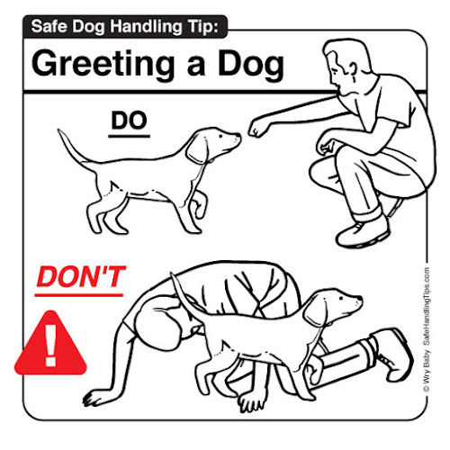 safe baby handling tips book