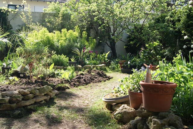 Filz und Garten - Gartenblog: Wer braucht schon Rasen?
