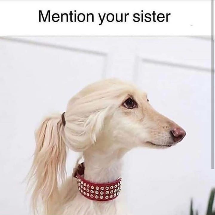 चुटकुले ही चुटकुले