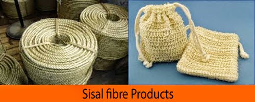 An overview of Sisal fibre - Textile Apex