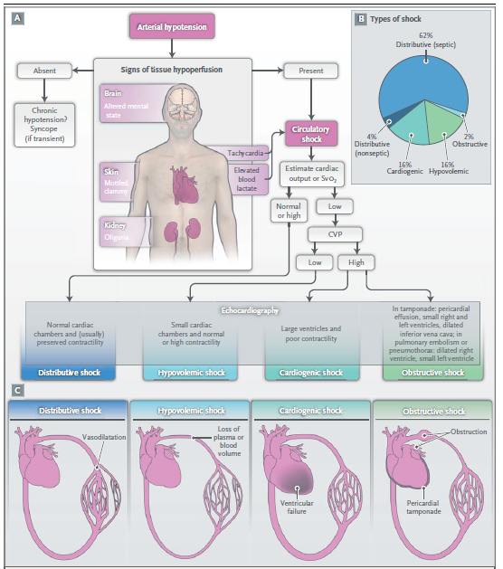 MEDICINA INTENSIVA CUSTOMIZADA