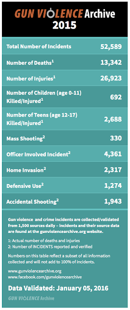 guns in america: a statistical analysis