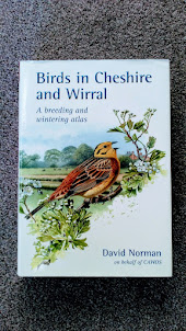 Birds in Cheshire and Wirral