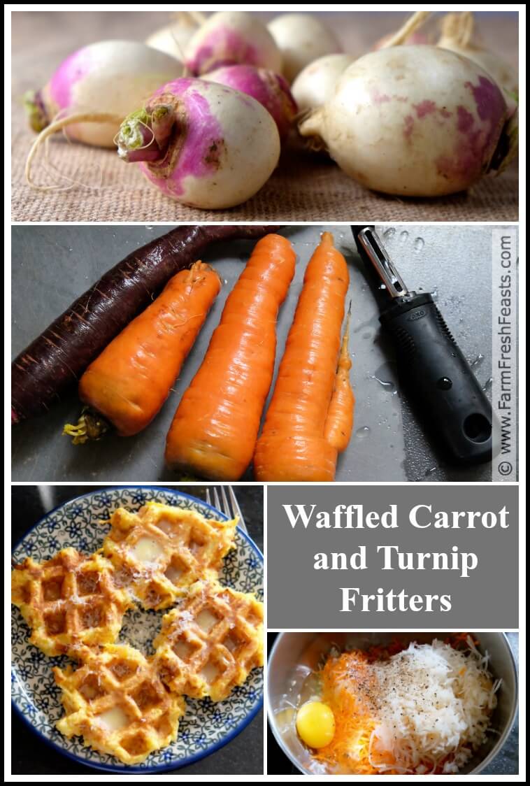 Farm Fresh Feasts Waffled Carrot and Turnip Fritters