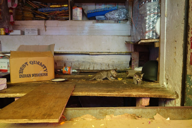 market things to do in mysore