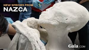 Περού: Απολιθωμένο ον προβληματίζει τους επιστήμονες - Δεν είναι σίγουροι εάν είναι ανθρώπινο(VIDEO)  