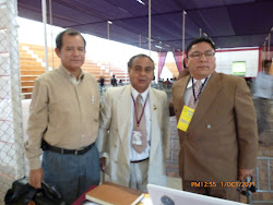 Apreciaciones del XVIII Congreso Nacional de Ingeniería Civil Cajamarca 2011