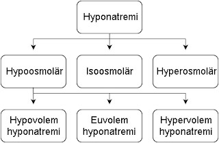 hyponatremi etiologi