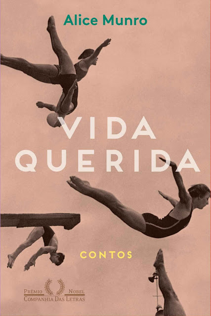 Vida querida - Alice Munro