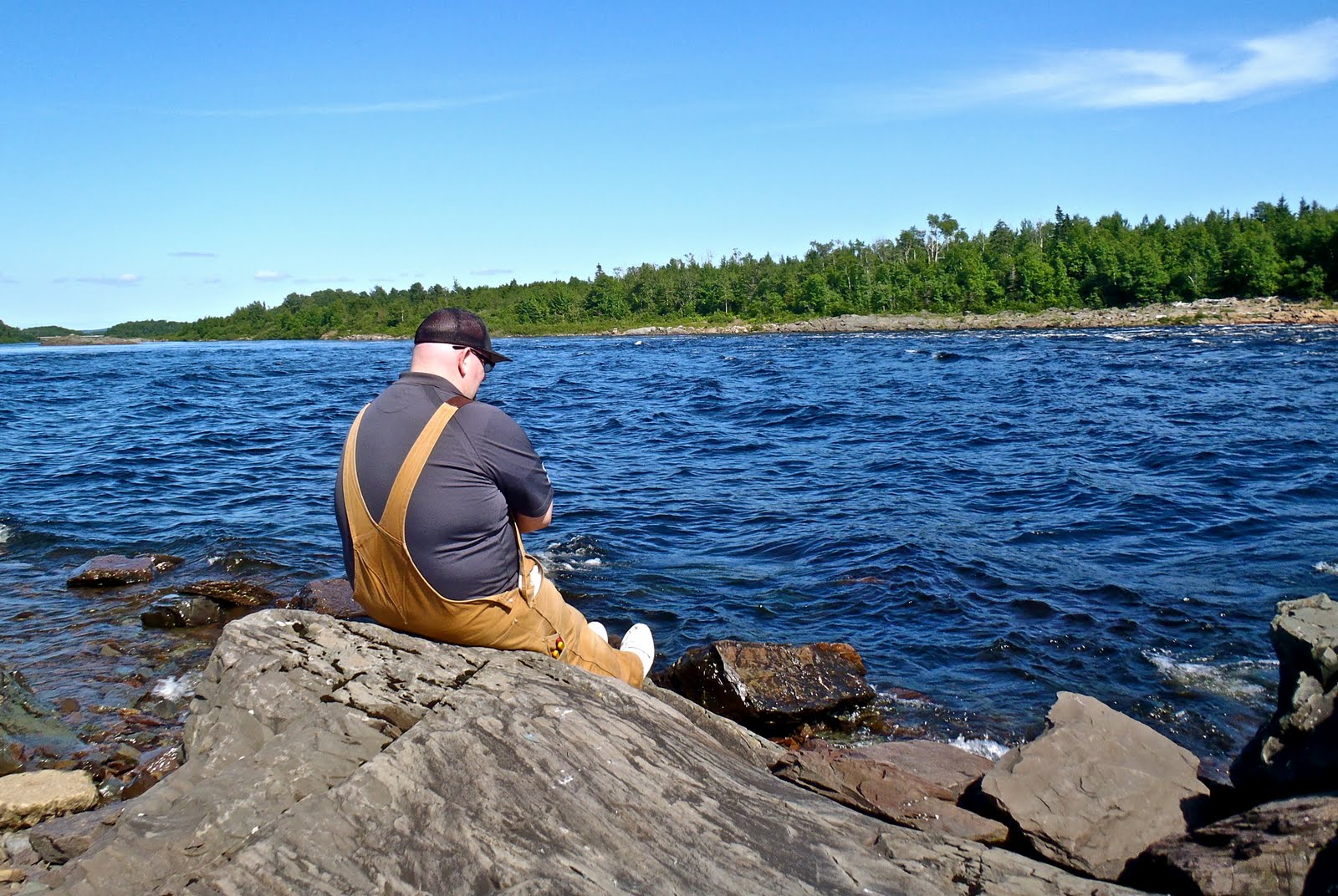 The Fraser Files Falls