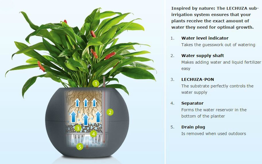 Inside the Wendy House Growing Better Plants with Lechuza Self