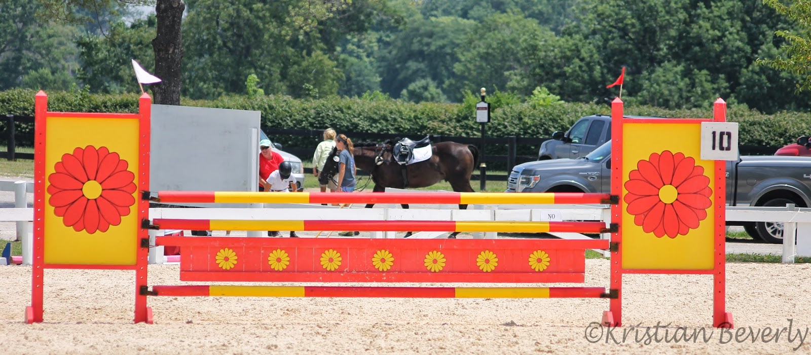 Five Paws Studio Show Jumping Jumps